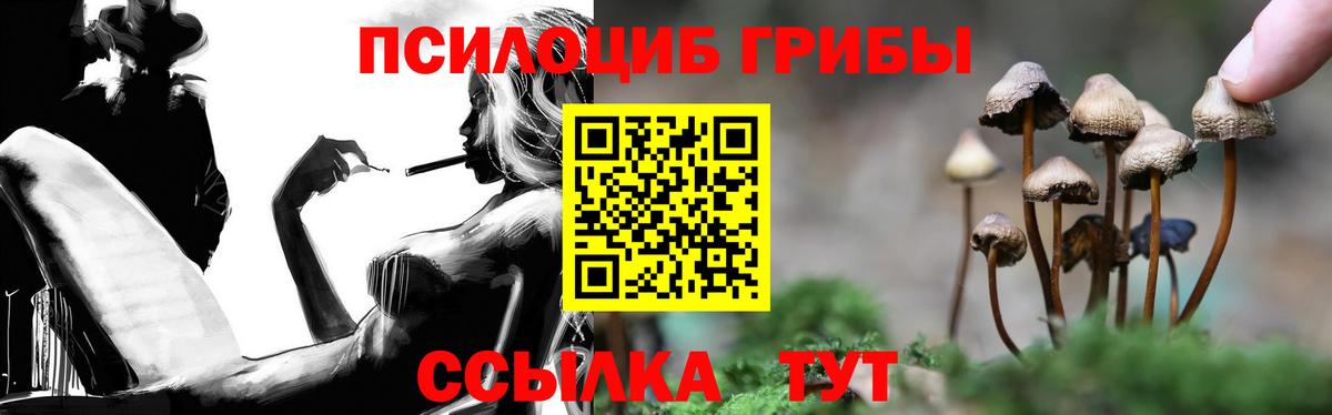 Псилоцибиновые грибы мухоморы  Псилоцибиновые грибы Magic Shrooms  Вход с VPN  Новороссийск 